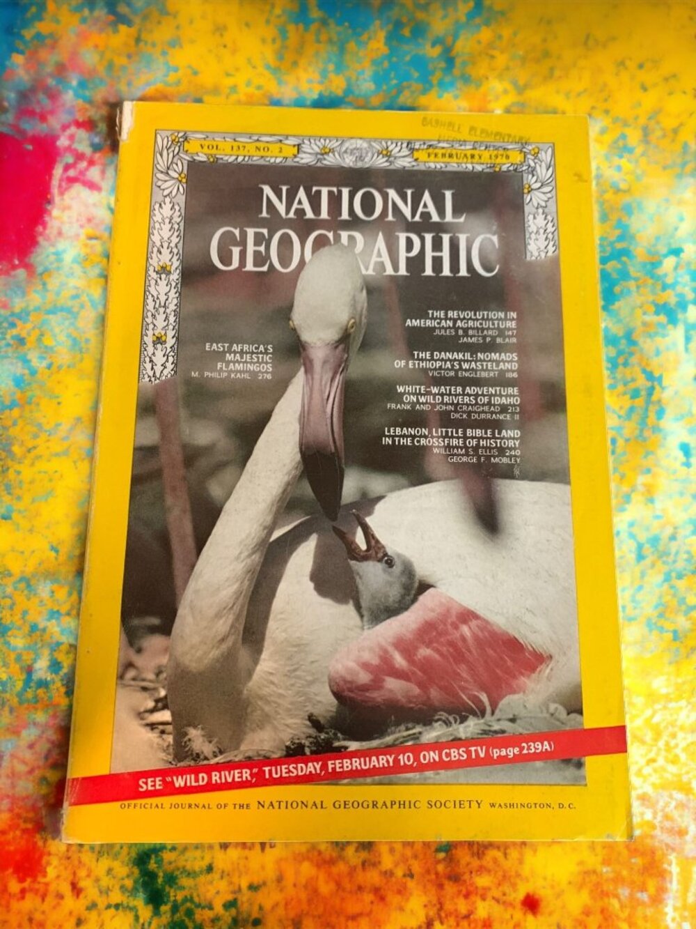 National Geographic Feb 1970 Flamingos Africa Wildlife Vintage Magazine